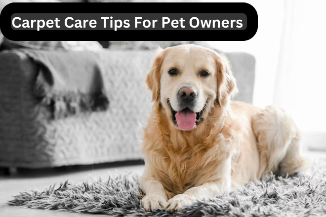 Carpet Care Tips For Pet Owners